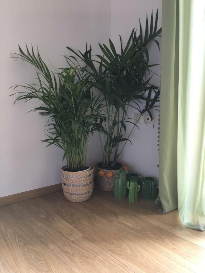 Olive Tree Cottage 2 Nea Peramos  Ngoại thất bức ảnh